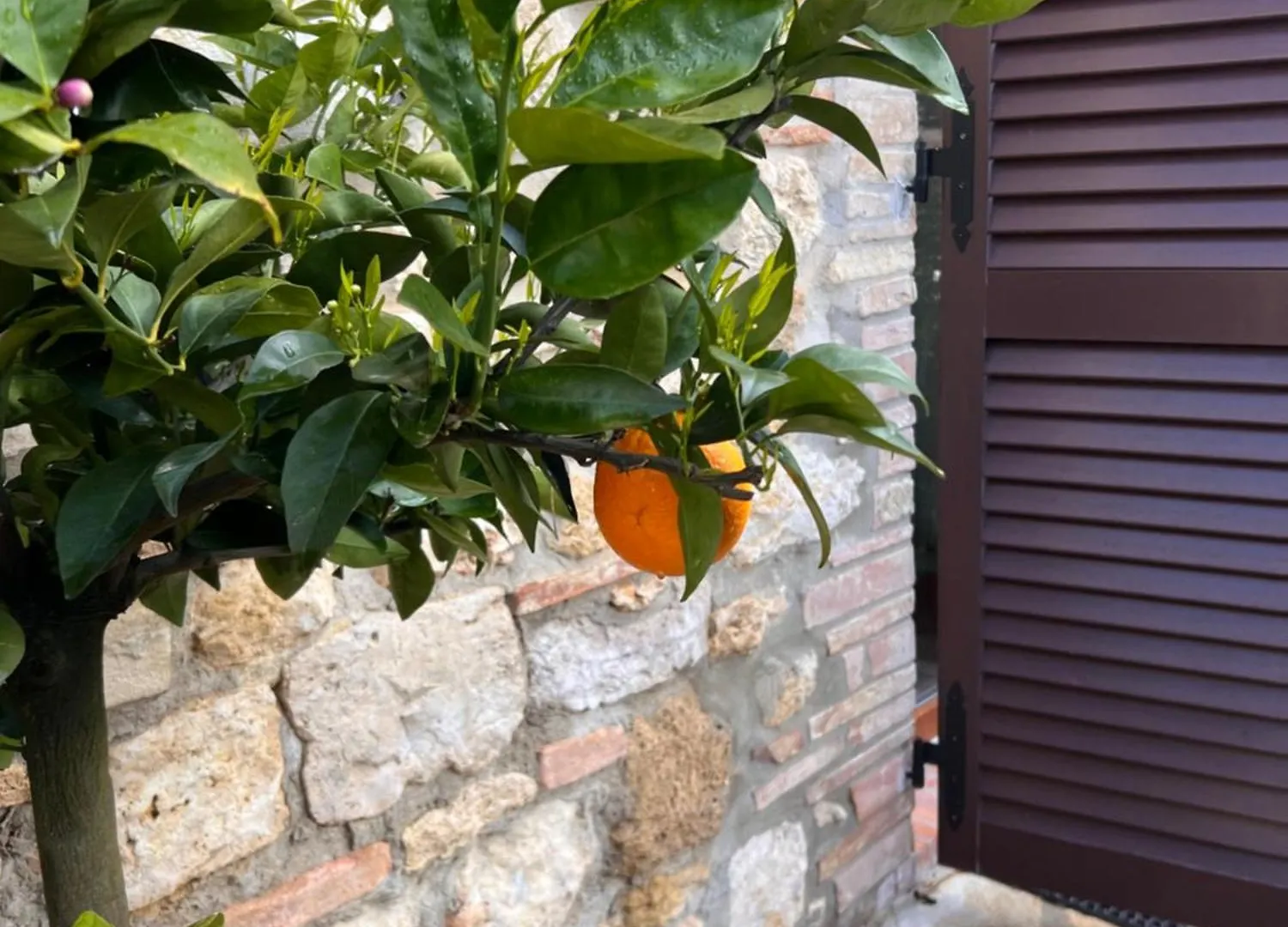 Bed & Breakfast Casale Gregoriano And Apartaments San Gimignano