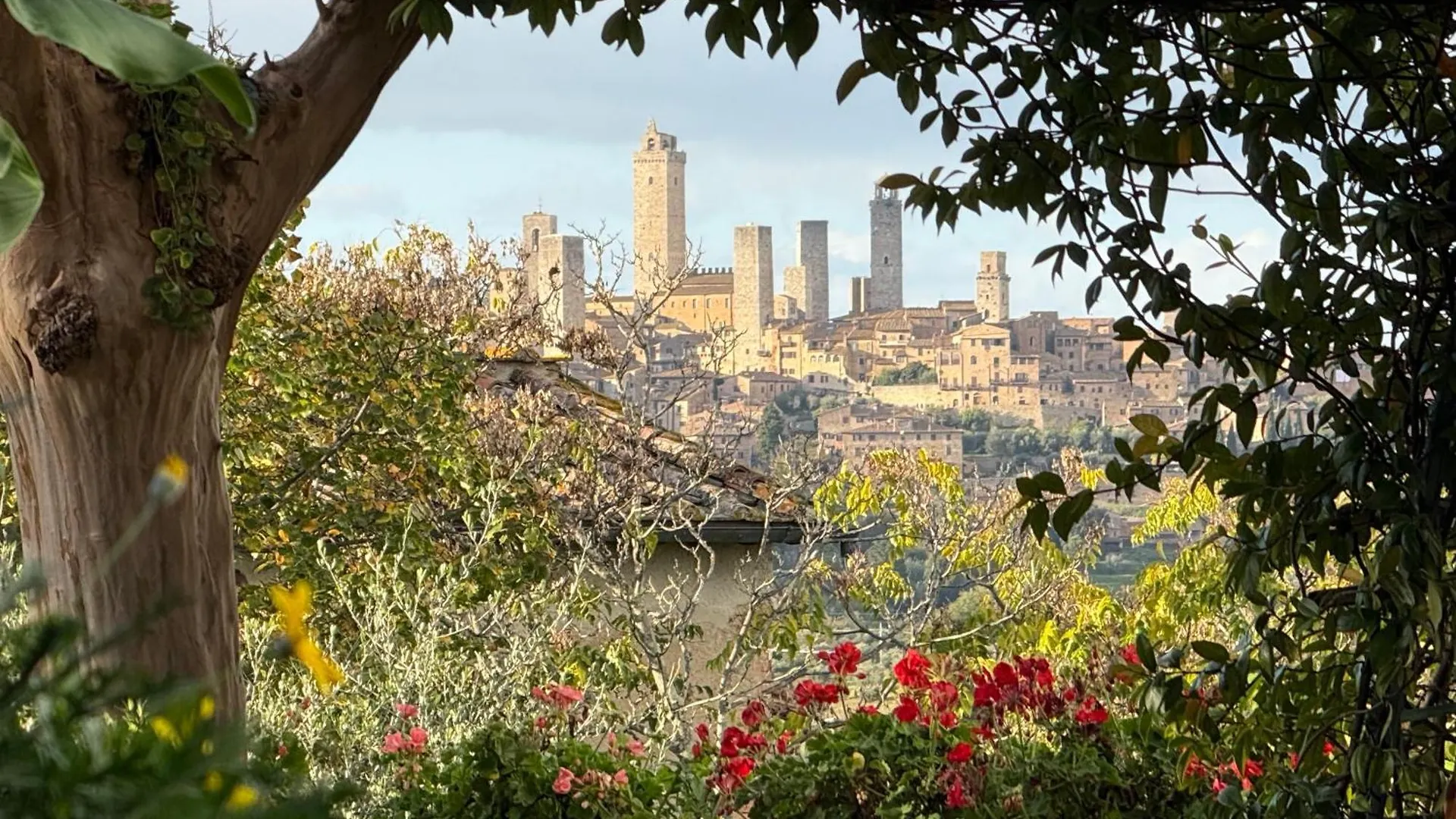 Bed & Breakfast Casale Gregoriano And Apartaments San Gimignano