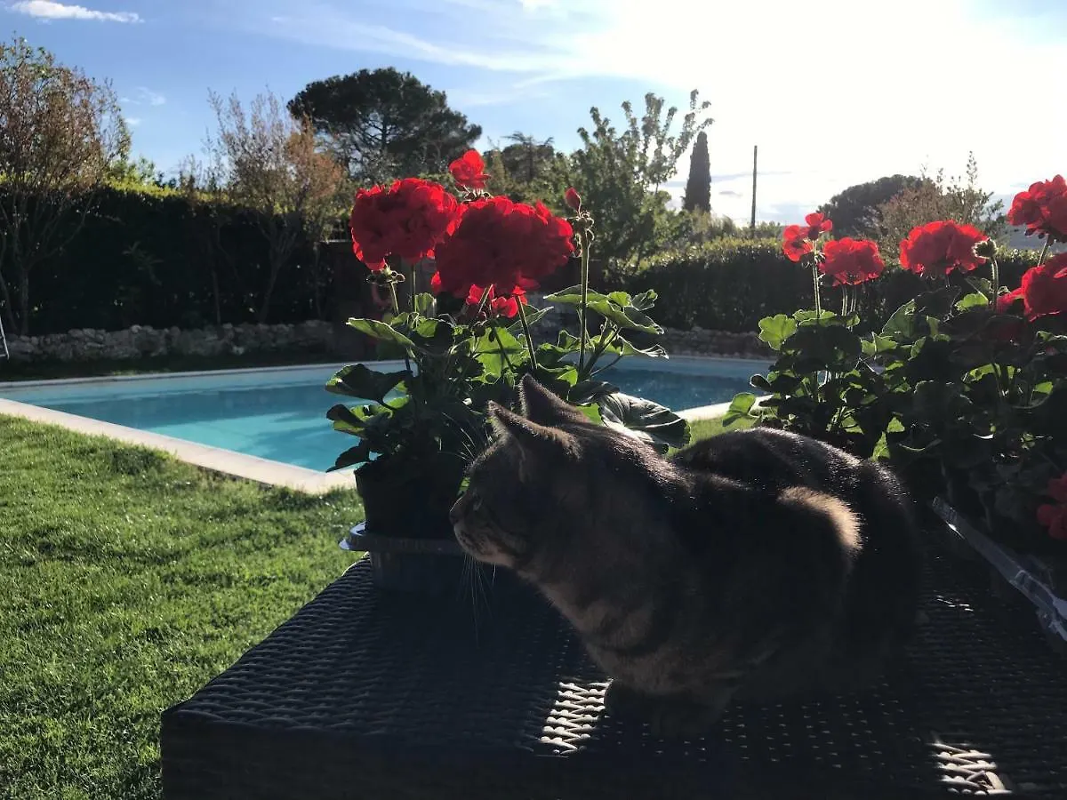 Bed & Breakfast Casale Gregoriano Bed&Breakfast&Apartments San Gimignano