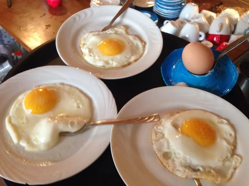 سان جيمينيانو Bed & Breakfast Casale Gregoriano  سان جيمينيانو